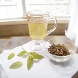 5 Green Tea Drink Recipes for Weight Loss 1 Green tea with fresh mint leaves and green tea leaves for an anti bloat drink